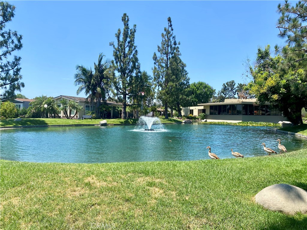 320 Lakepark Drive