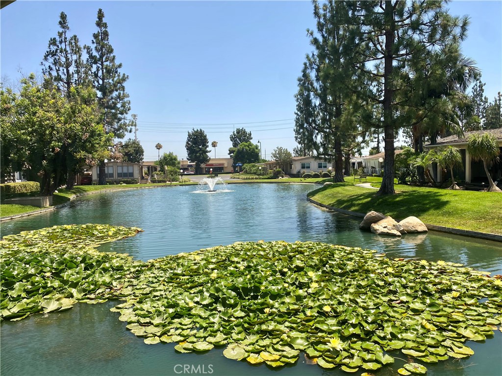 320 Lakepark Drive