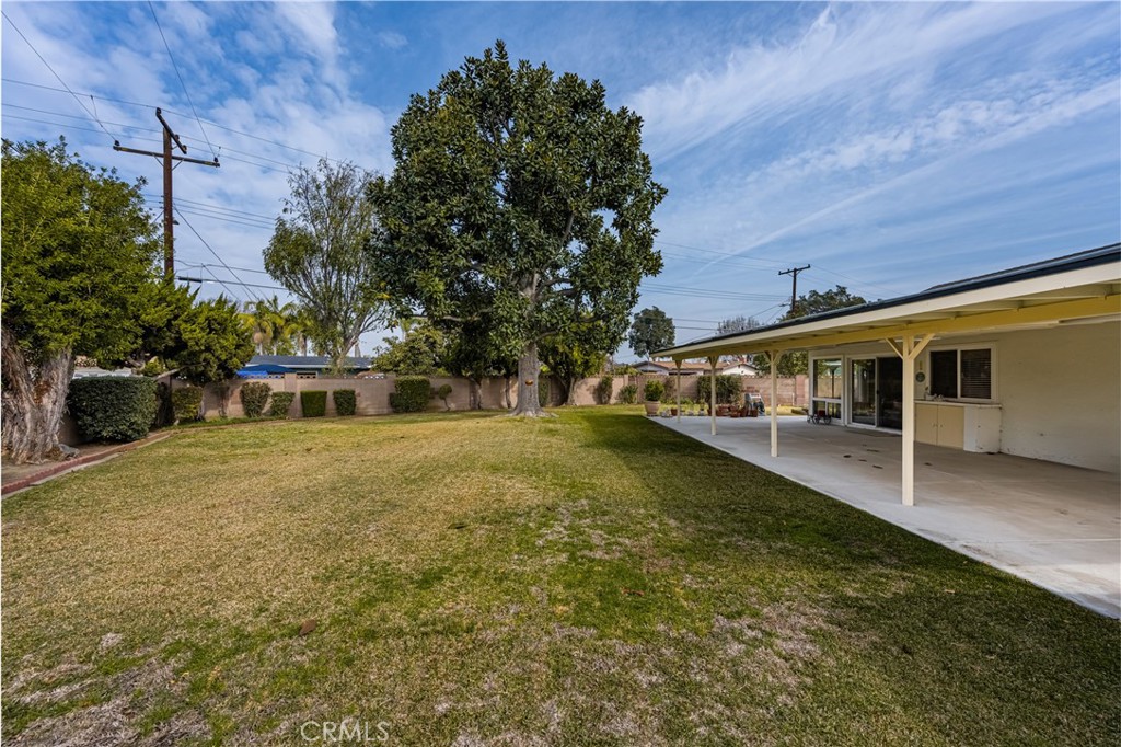 617 S Birchleaf Drive