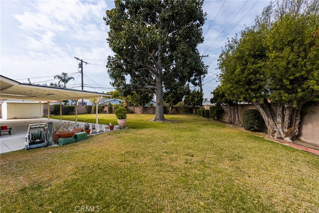 617 S Birchleaf Drive