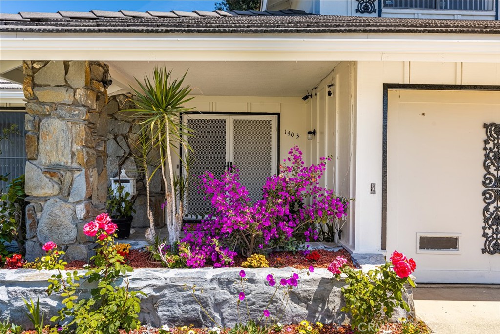 1403 W Westmont Drive