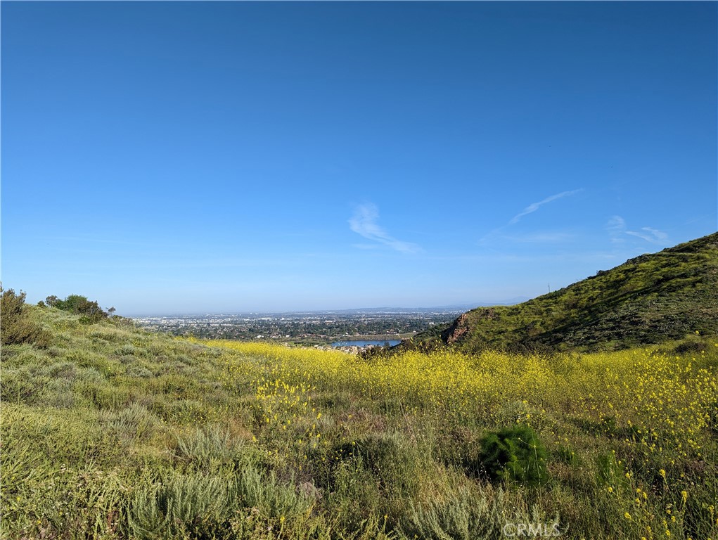 155 N Singingwood Street 39