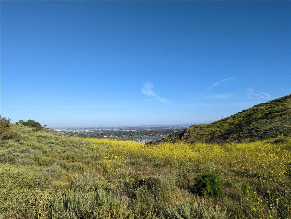 155 N Singingwood Street 39