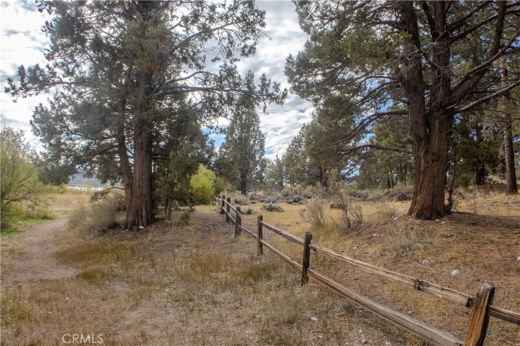 1007 White Mountain Drive