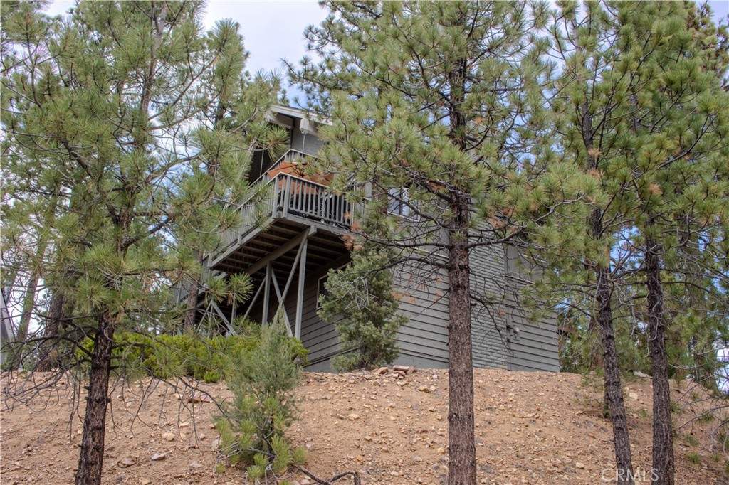 1007 White Mountain Drive