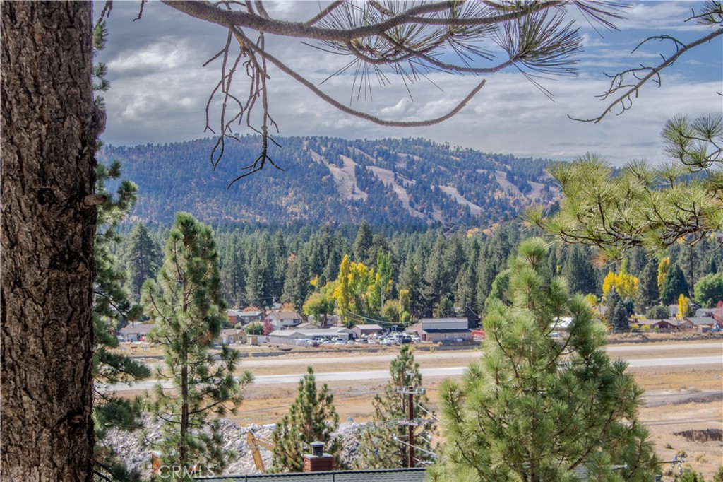 1007 White Mountain Drive