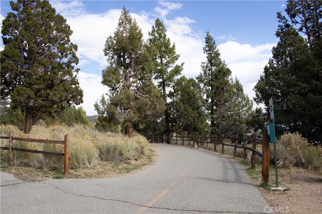 1007 White Mountain Drive