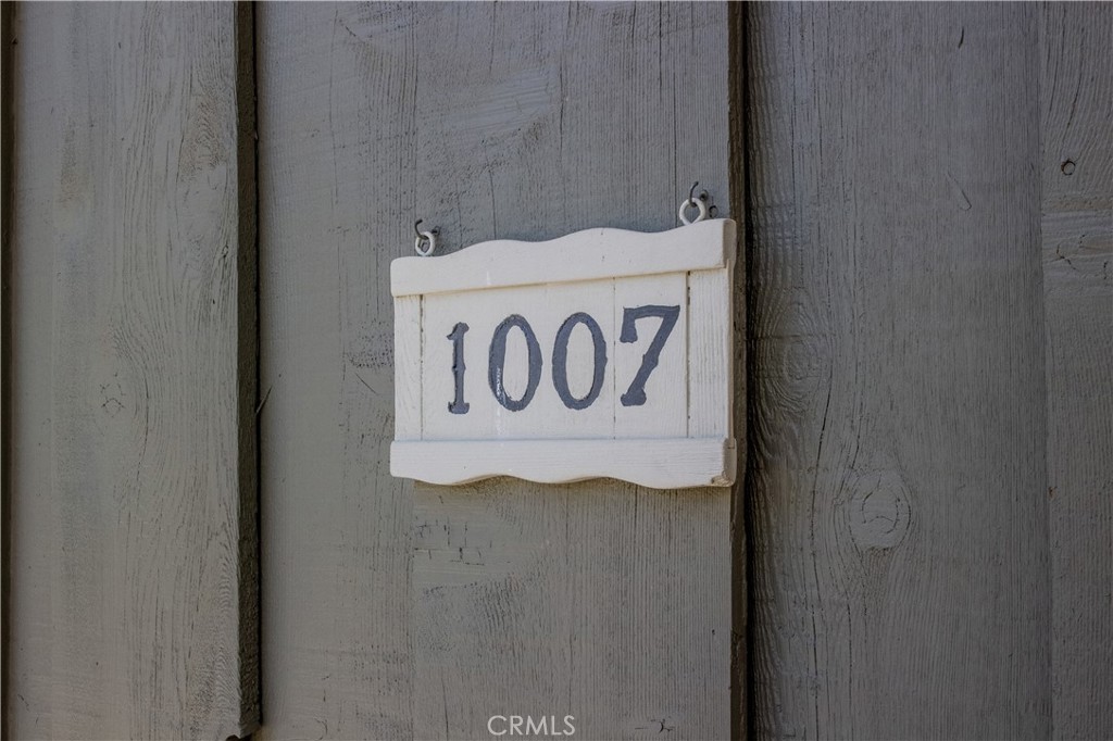 1007 White Mountain Drive