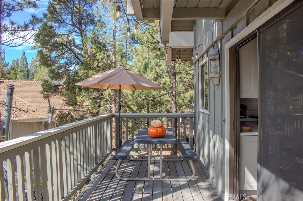 1007 White Mountain Drive