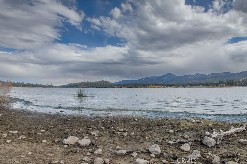 1007 White Mountain Drive