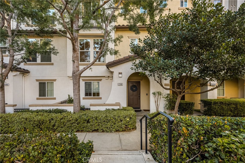 12500 Palmeria