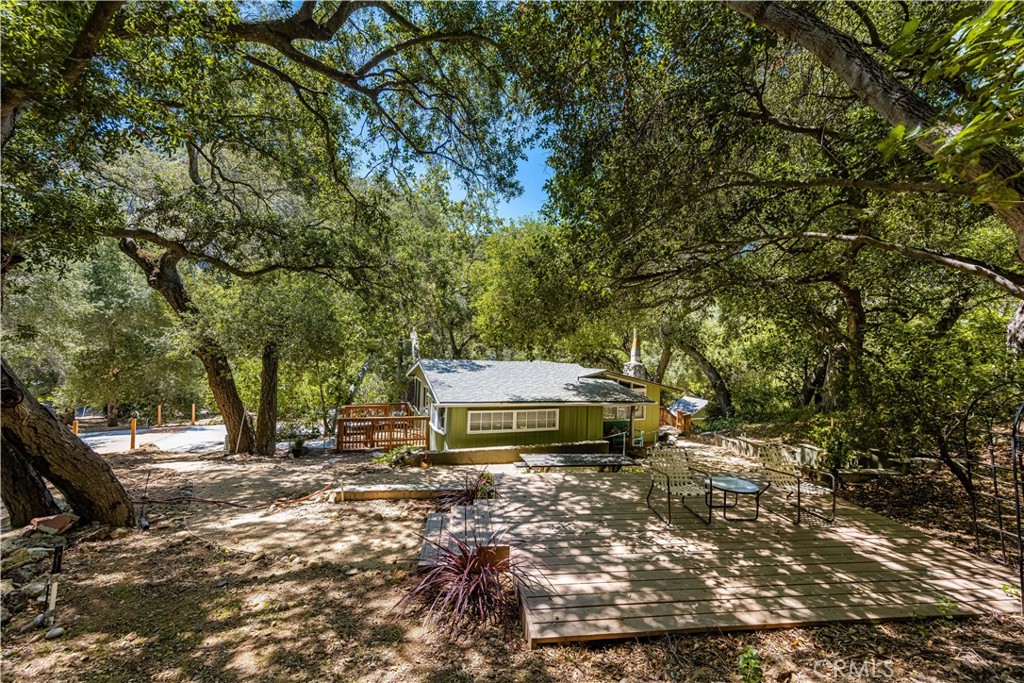 29221 Modjeska Road