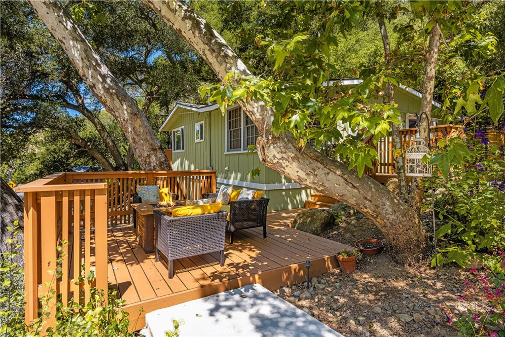 29221 Modjeska Road