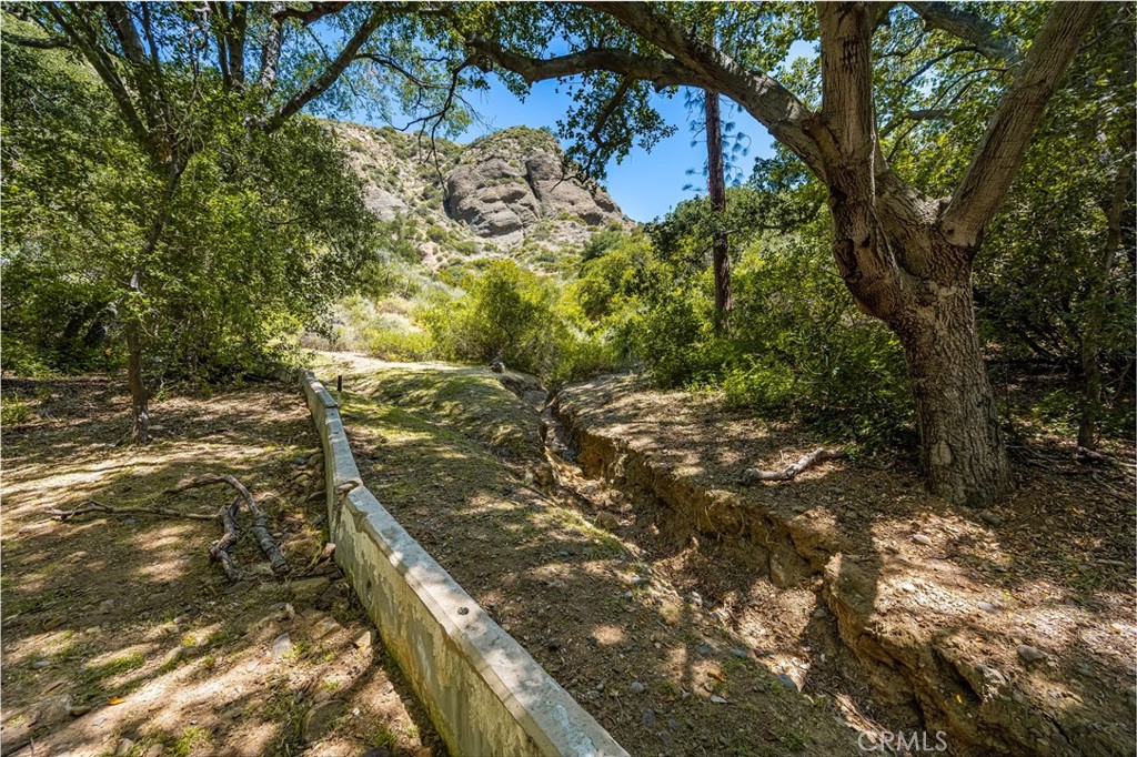 29221 Modjeska Road