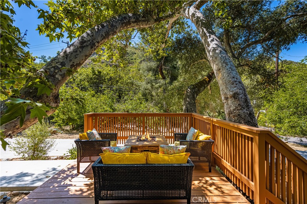 29221 Modjeska Road