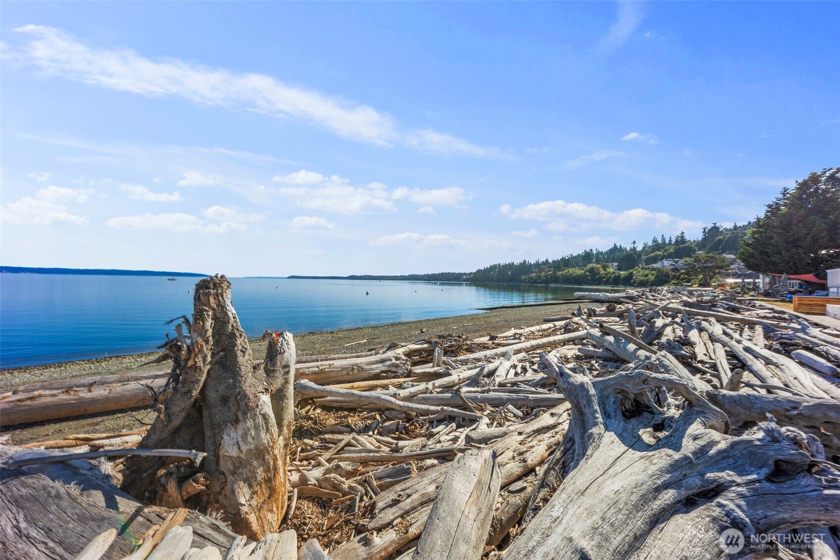 169 Driftwood Shores