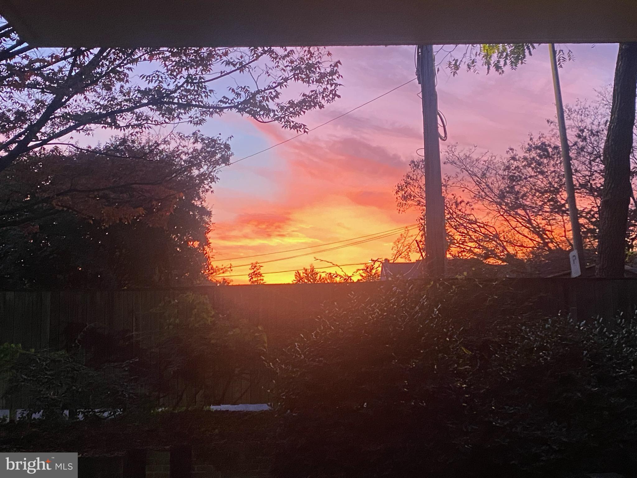 2320 Wisconsin Ave NW #208