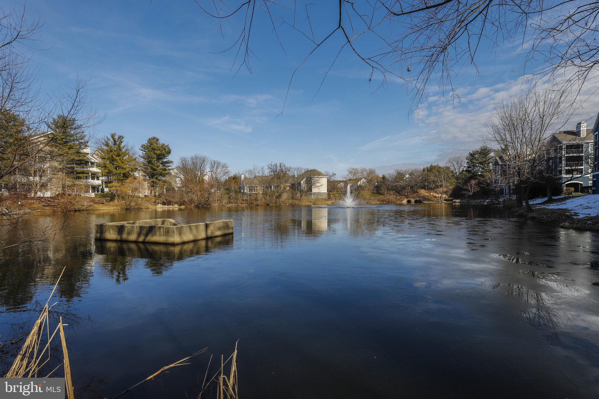 14324 CLIMBING ROSE WAY #102