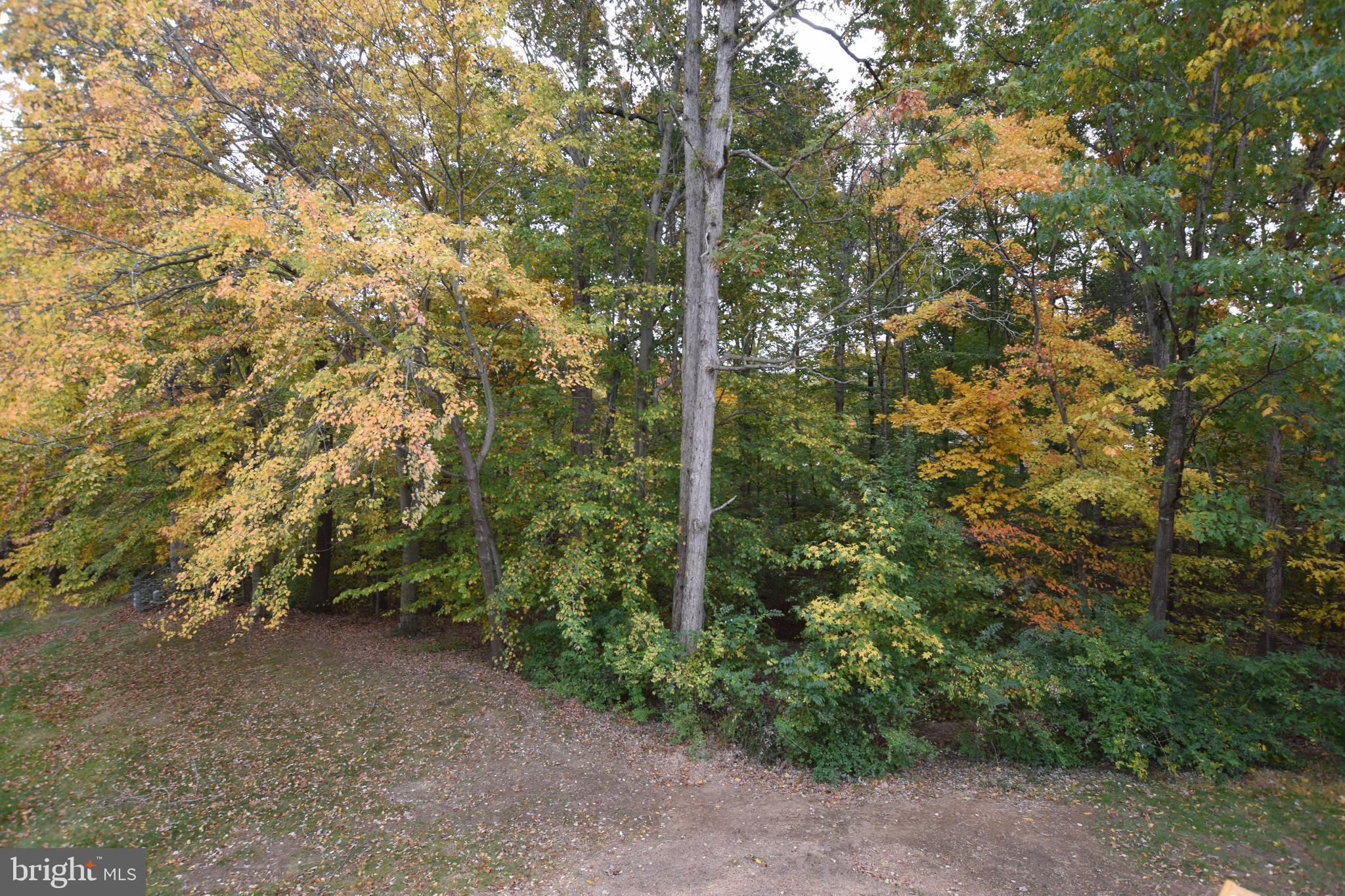 11337 CROMWELL COURT