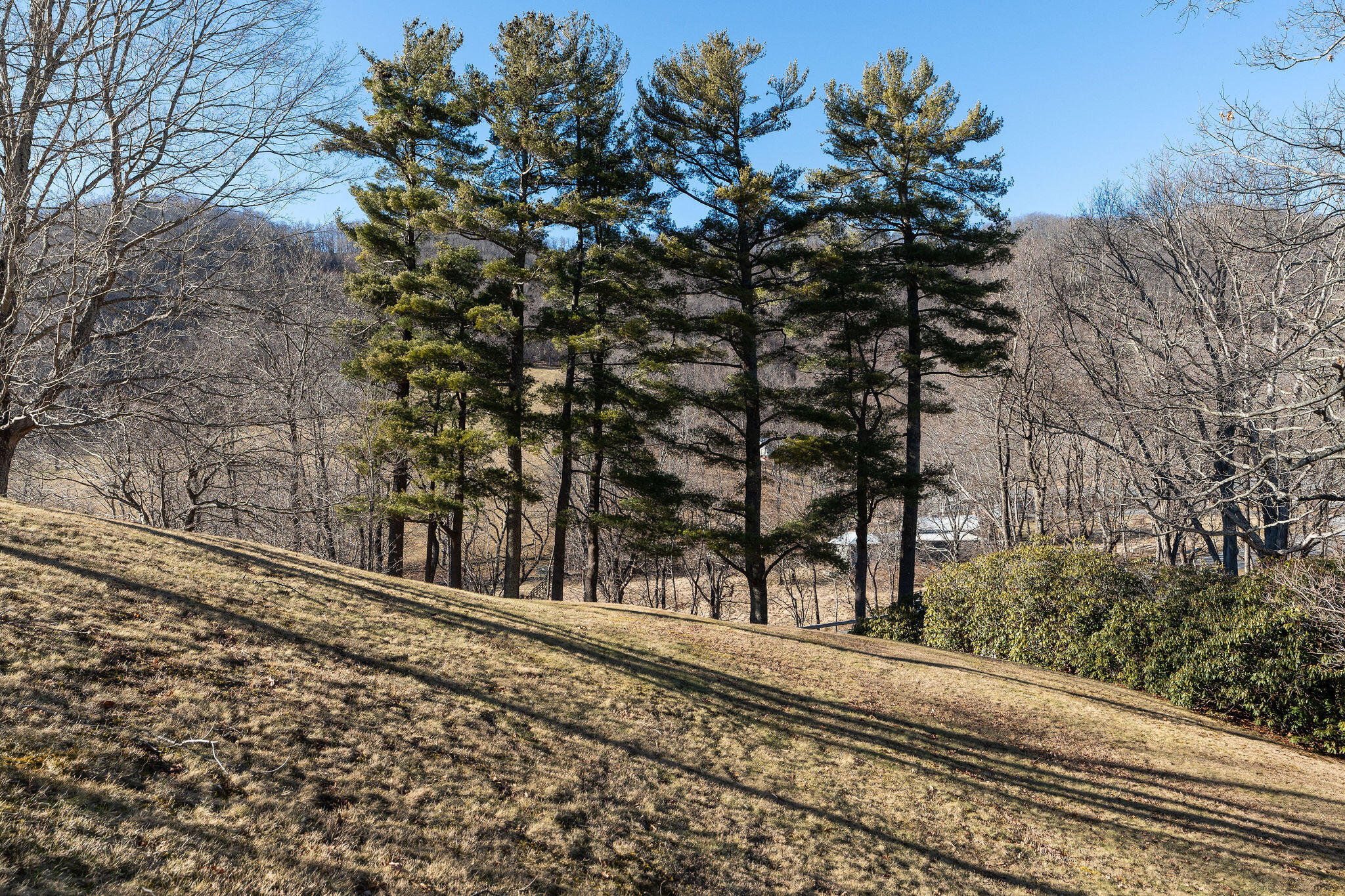 10772 Sam Snead Highway