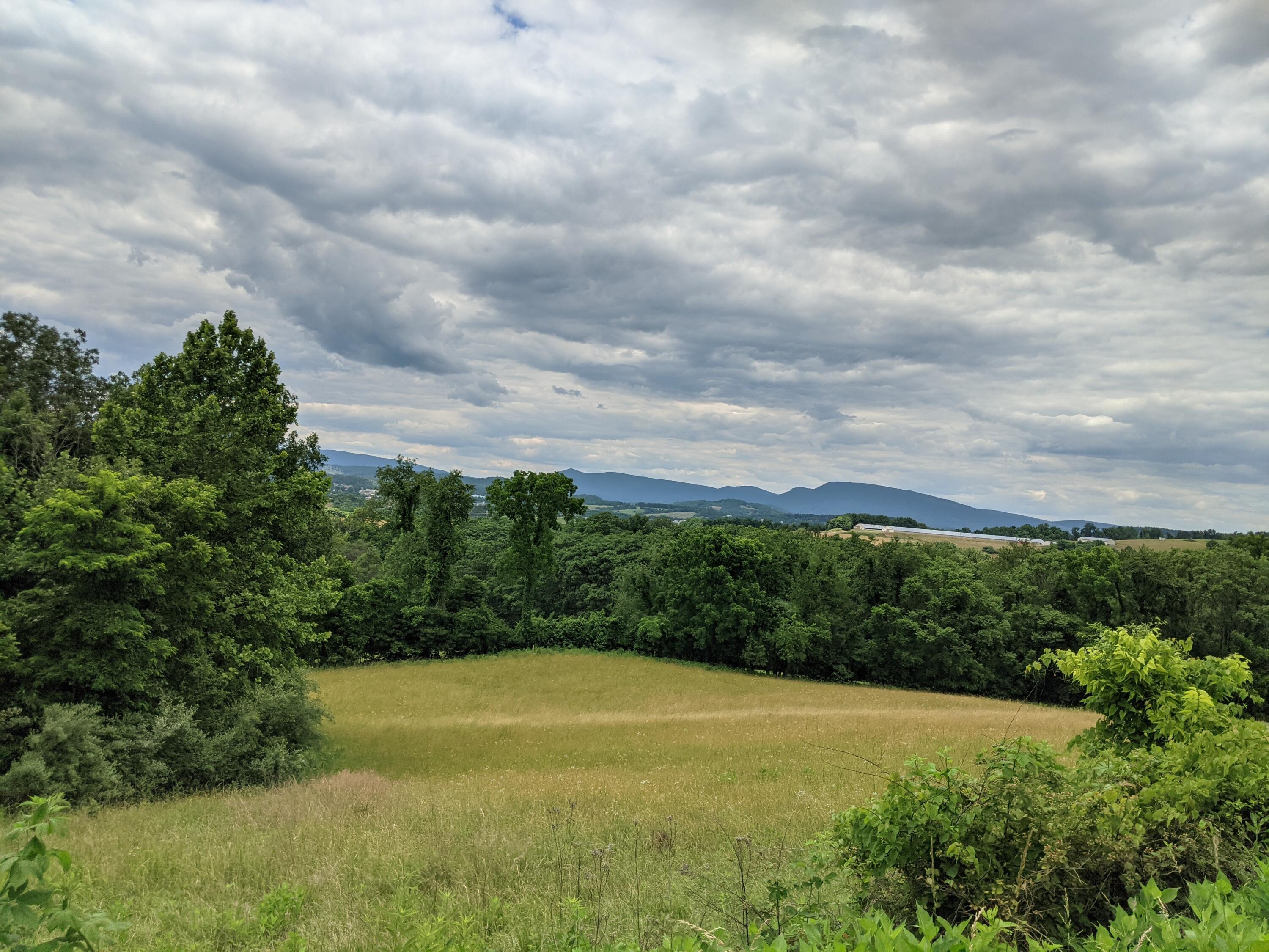 Lot 10 Riders Ridge Trl Unit: 10