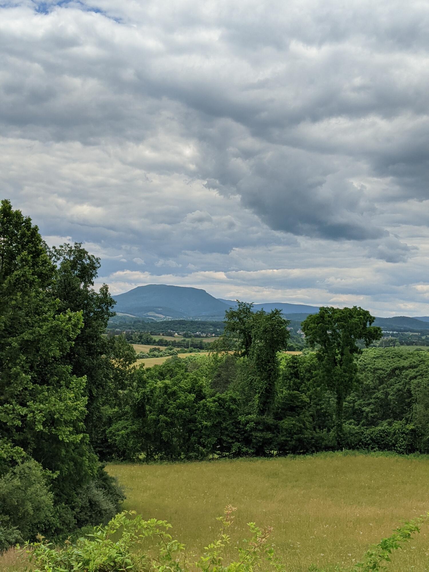 Lot 10 Riders Ridge Trl Unit: 10