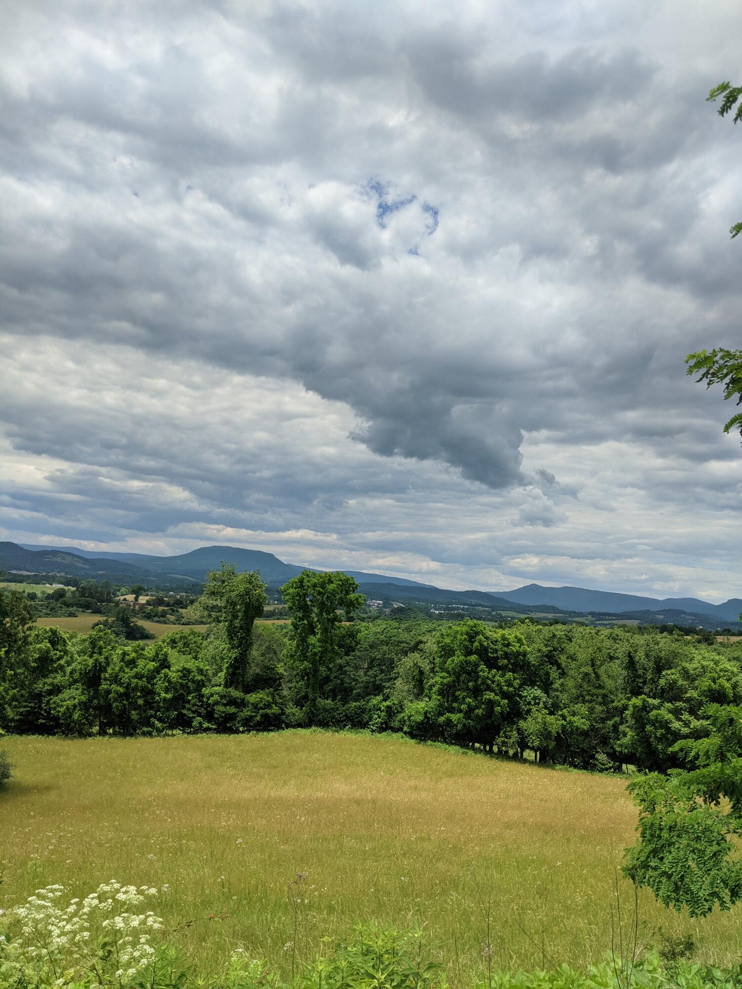 Lot 10 Riders Ridge Trl Unit: 10