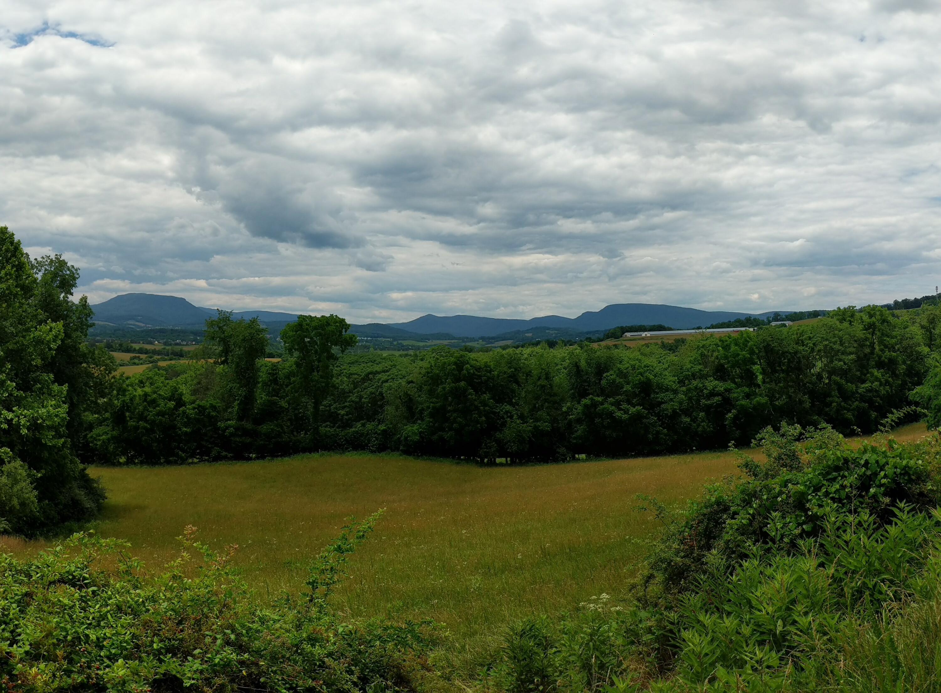 Lot 10 Riders Ridge Trl Unit: 10