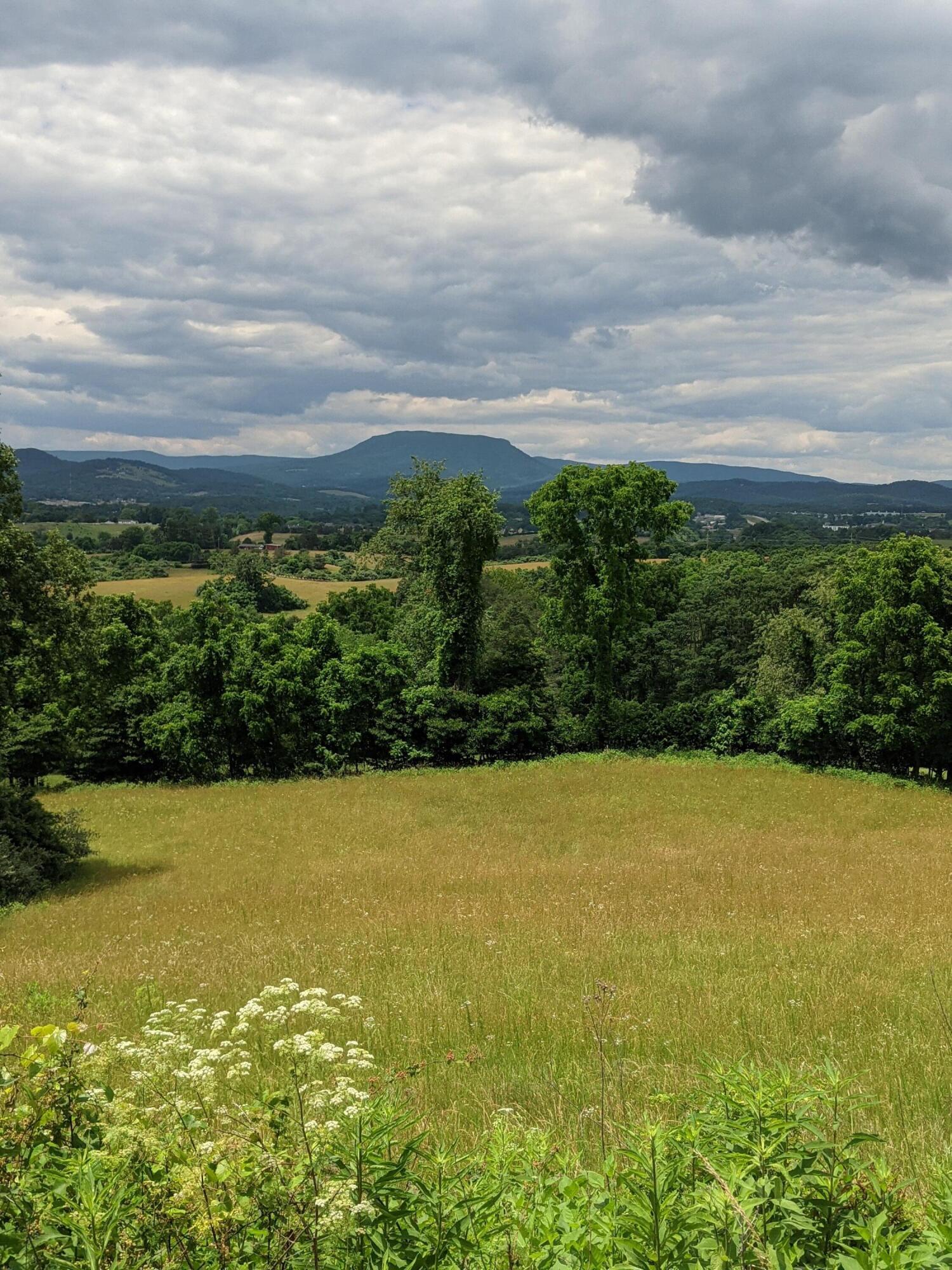 Lot 10 Riders Ridge Trl Unit: 10