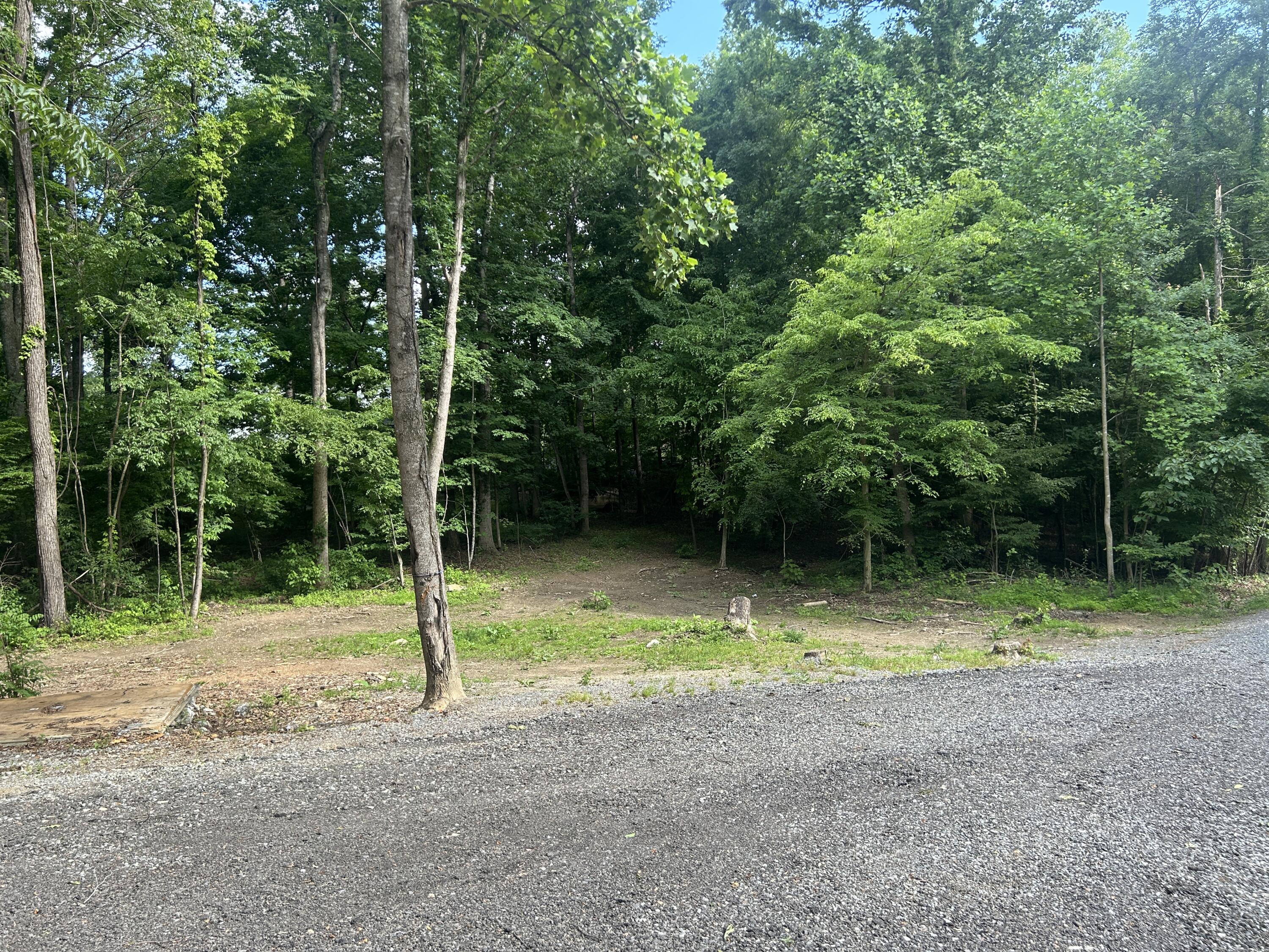675 Fox Rd