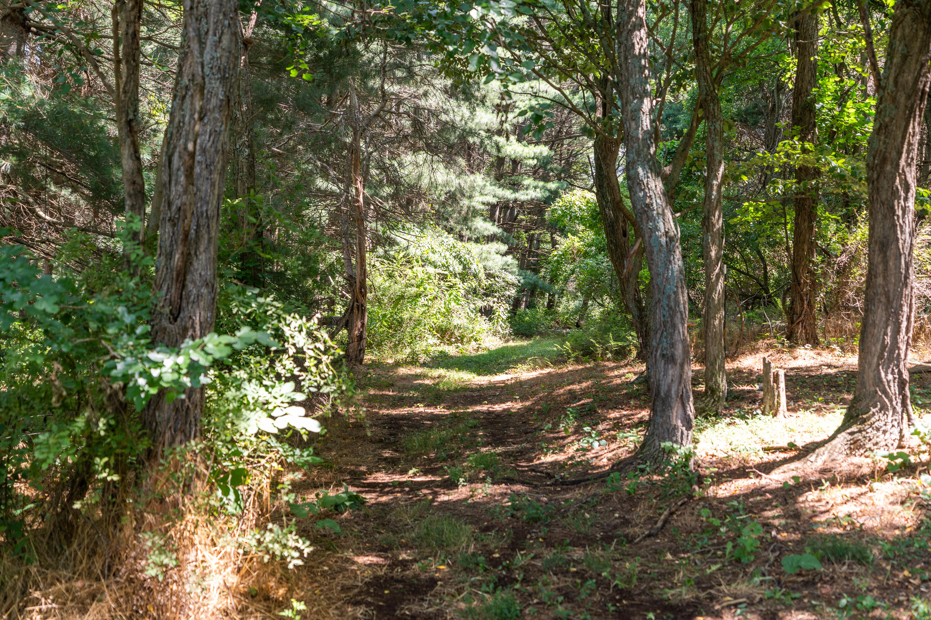 801 Broadhead School Rd