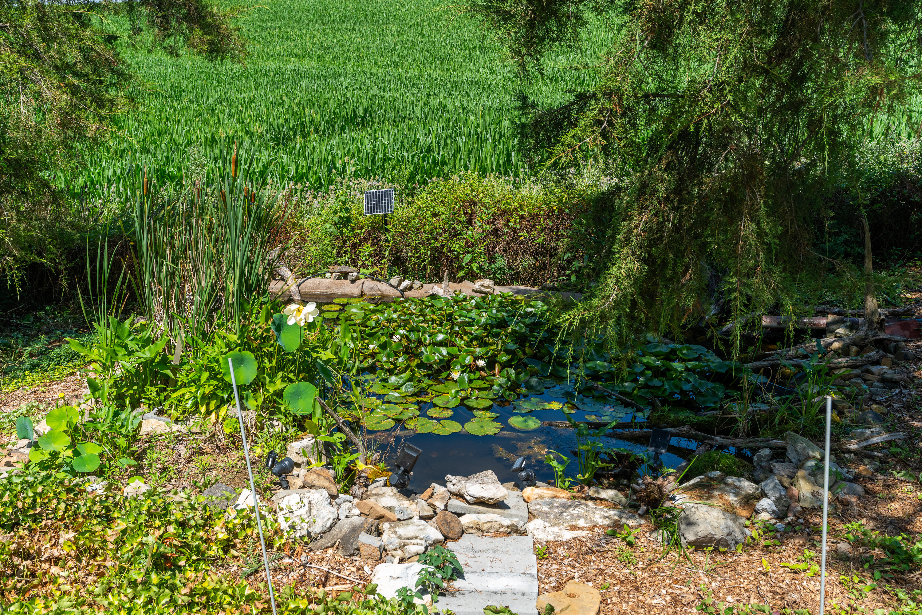 801 Broadhead School Rd