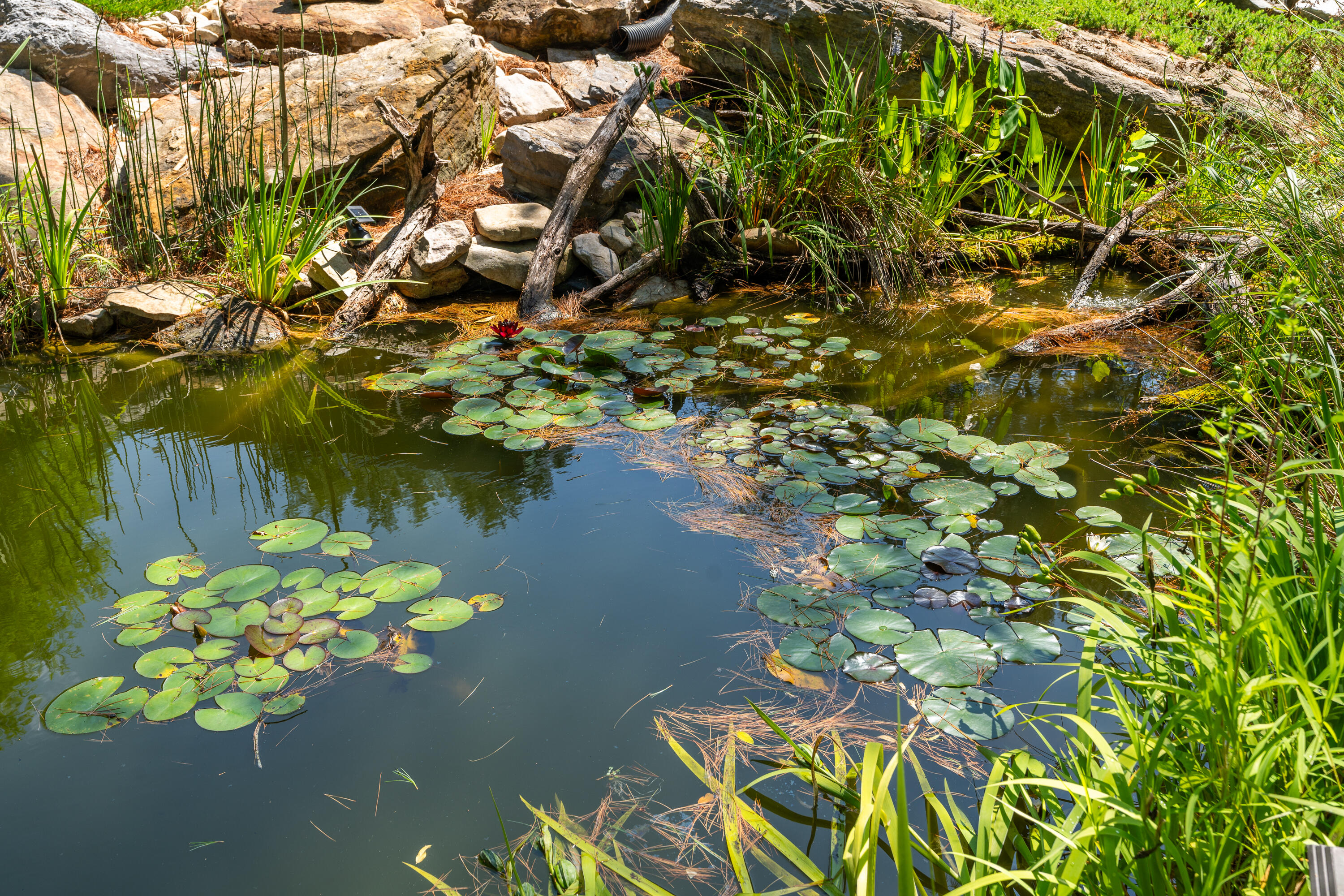 801 Broadhead School Rd