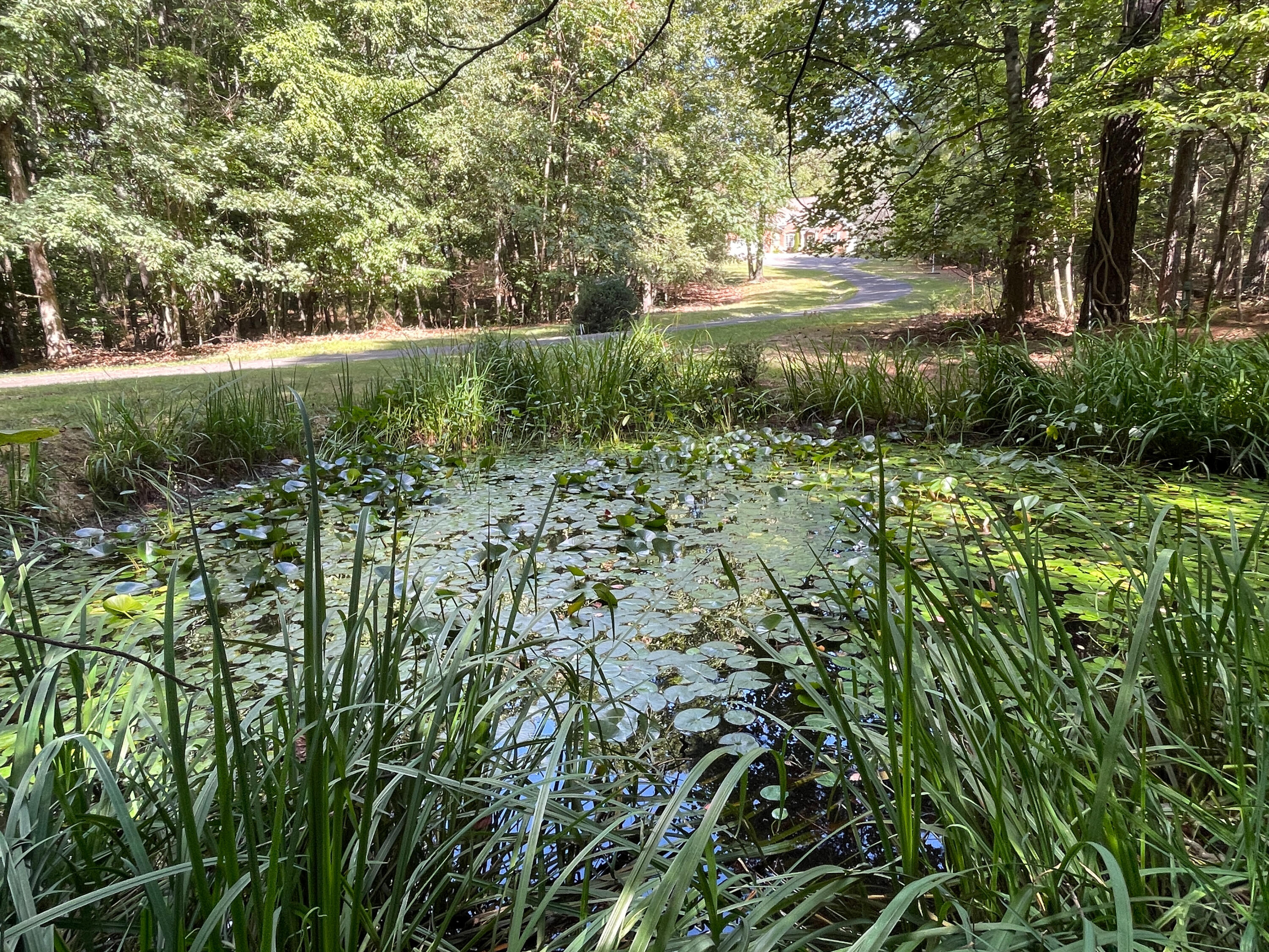 981 Padgetts Hill Rd