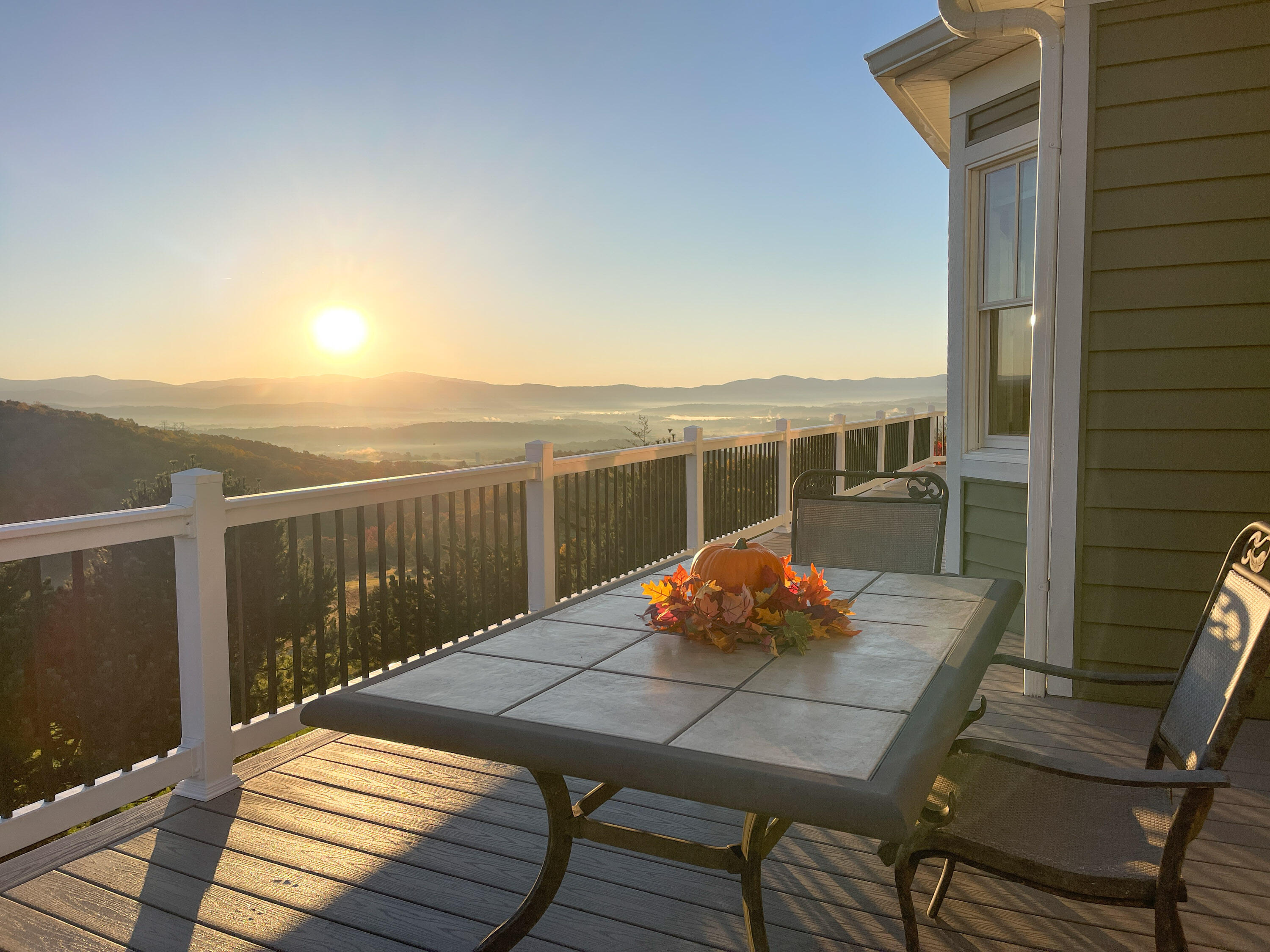 262 Shenandoah View Dr