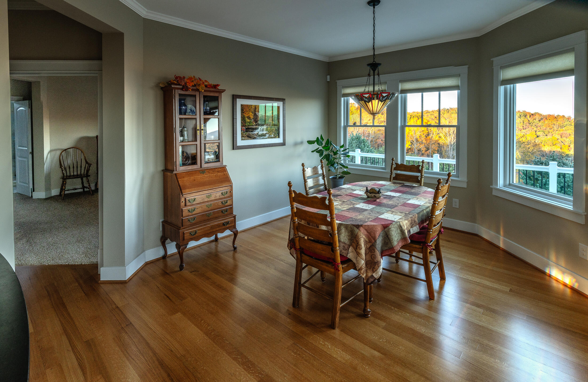 262 Shenandoah View Dr