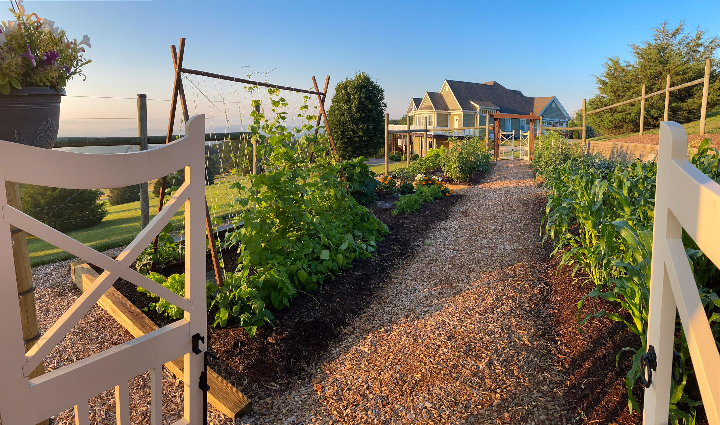 262 Shenandoah View Dr