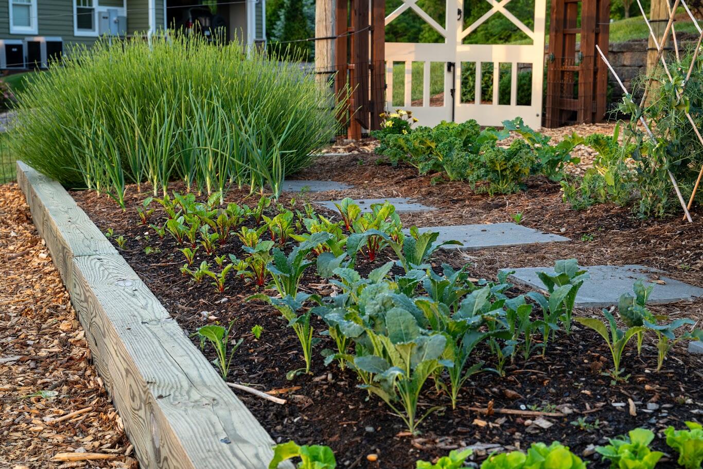 262 Shenandoah View Dr