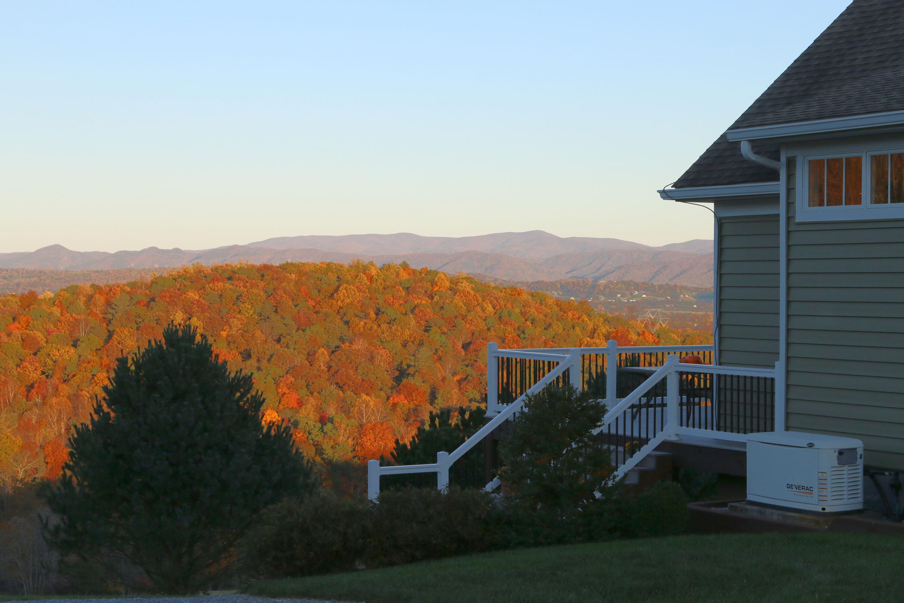 262 Shenandoah View Dr