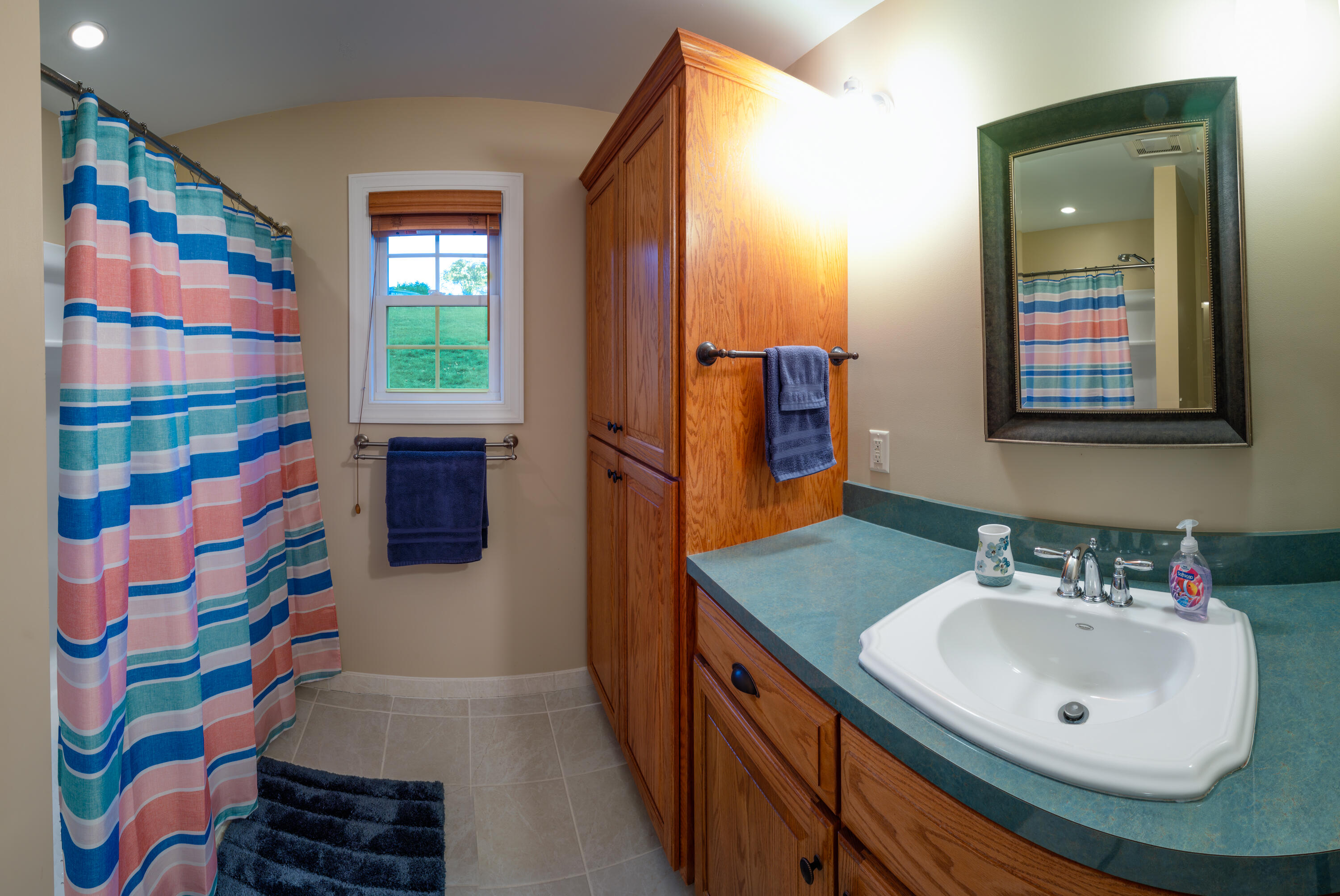 262 Shenandoah View Dr