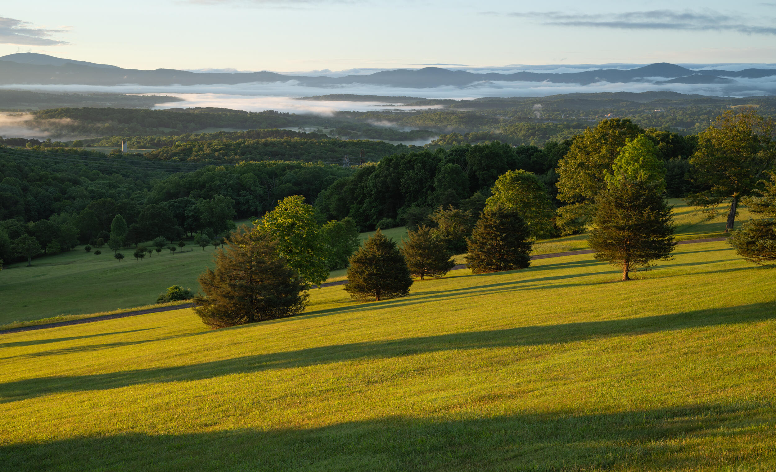 262 Shenandoah View Dr