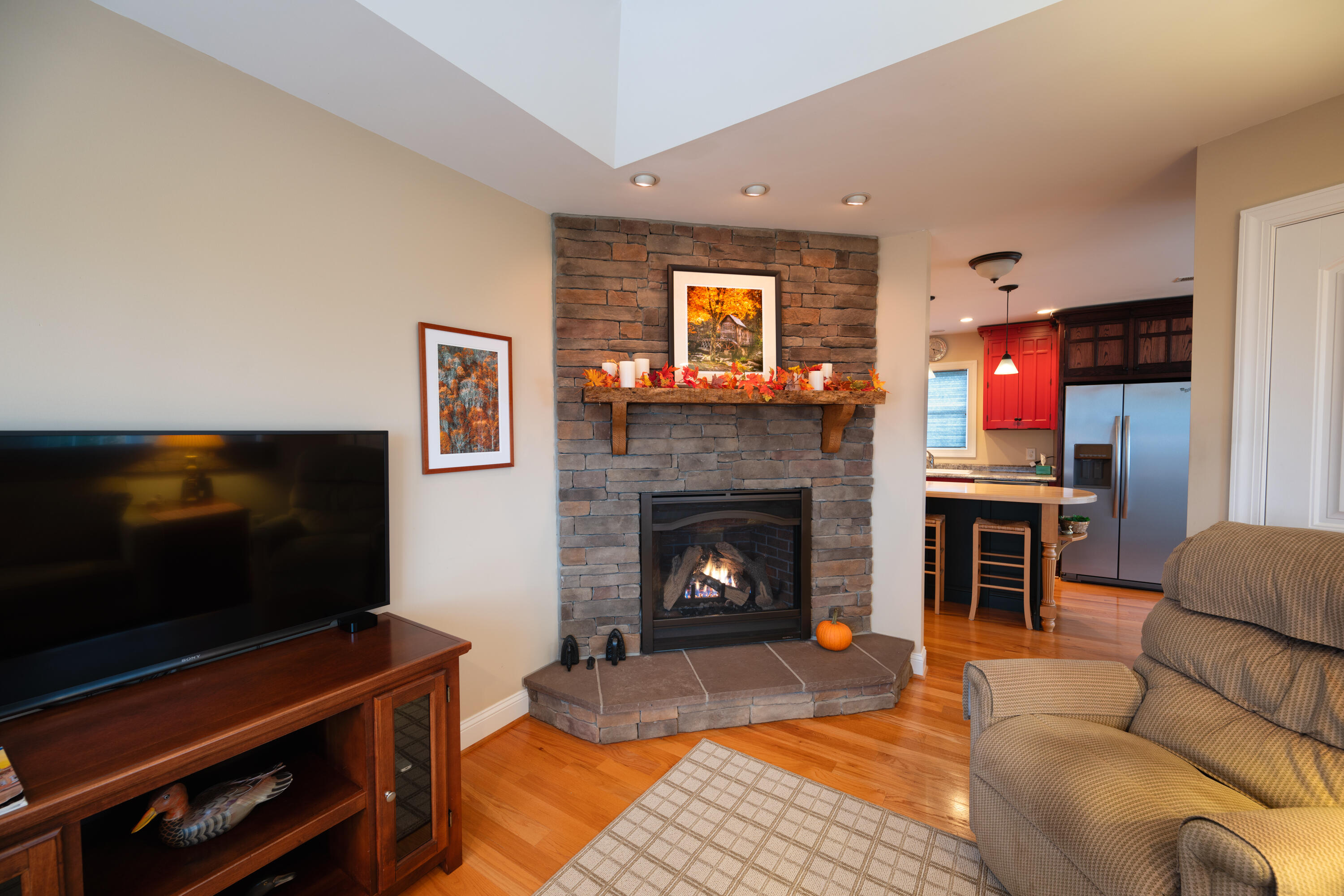 262 Shenandoah View Dr