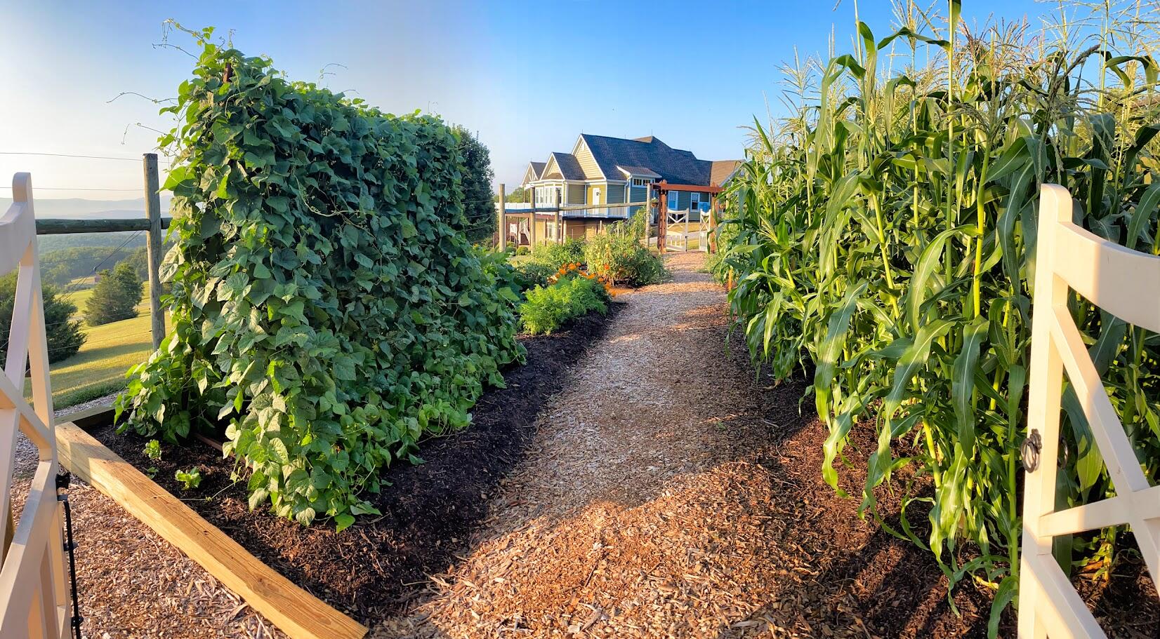 262 Shenandoah View Dr