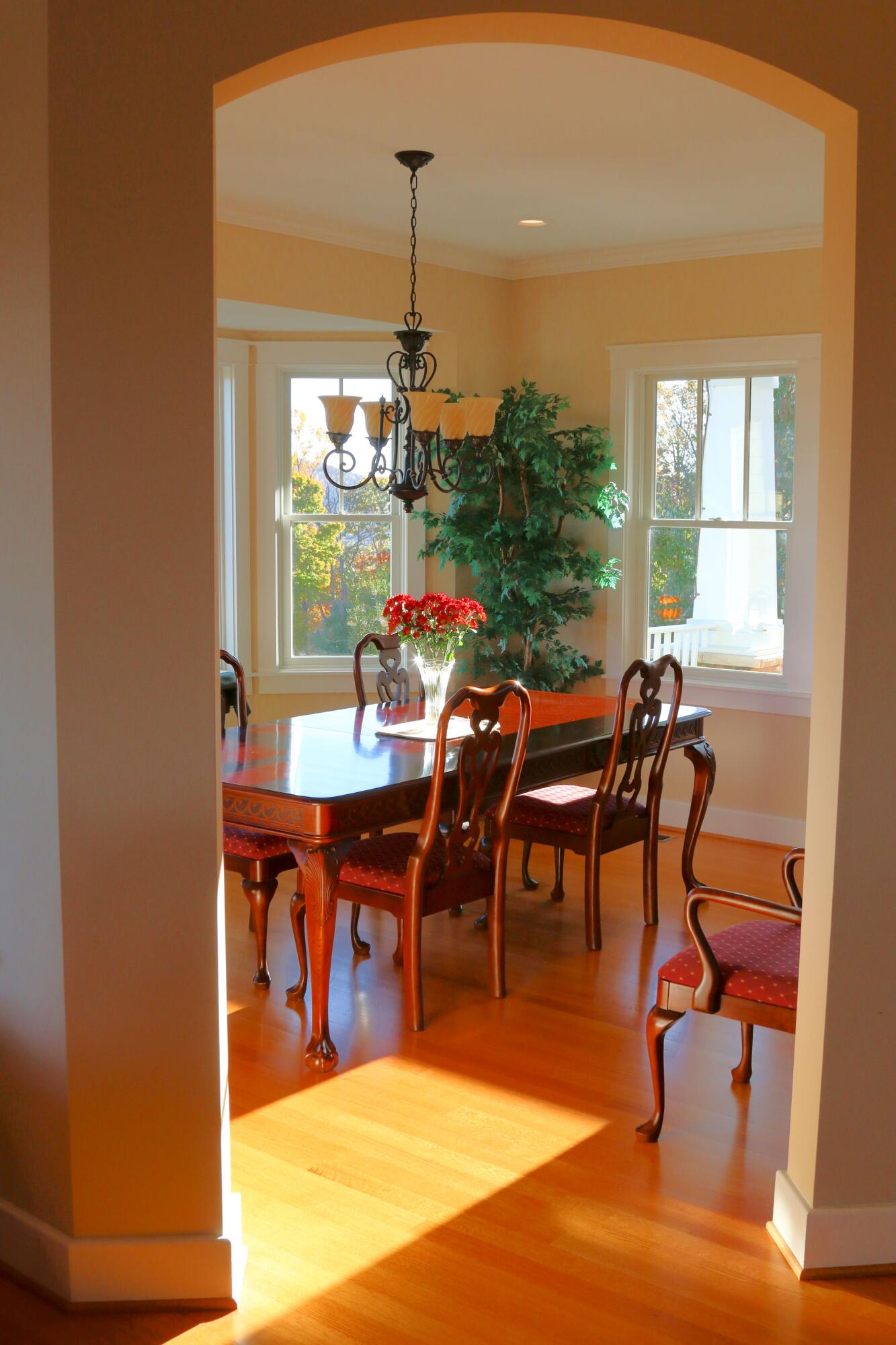 262 Shenandoah View Dr