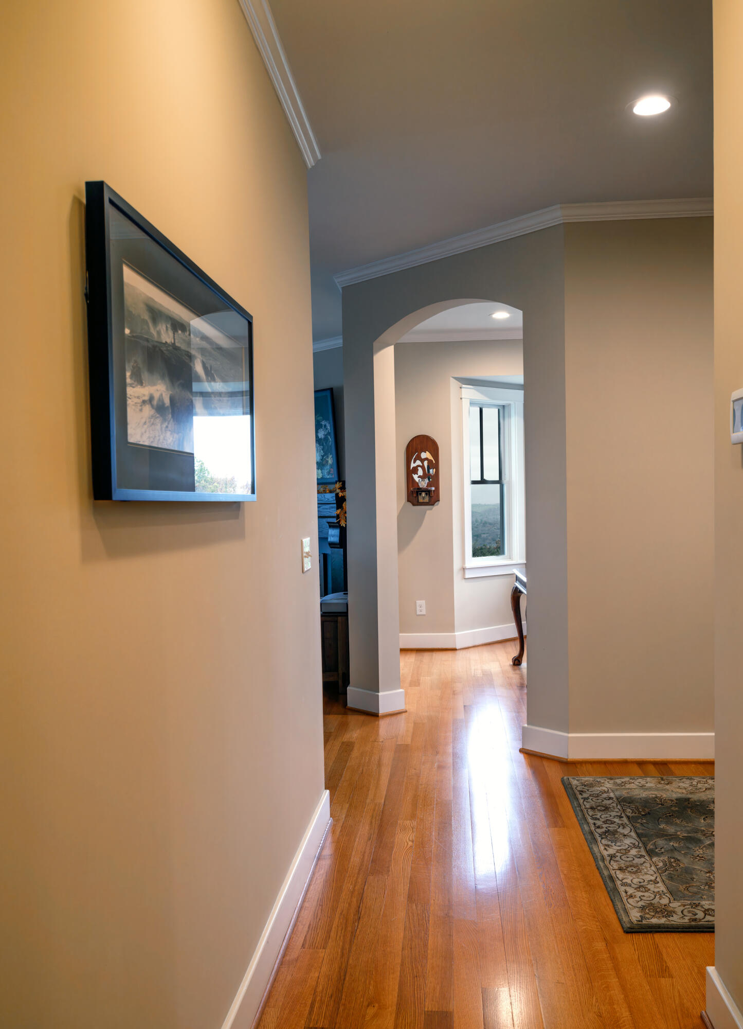 262 Shenandoah View Dr