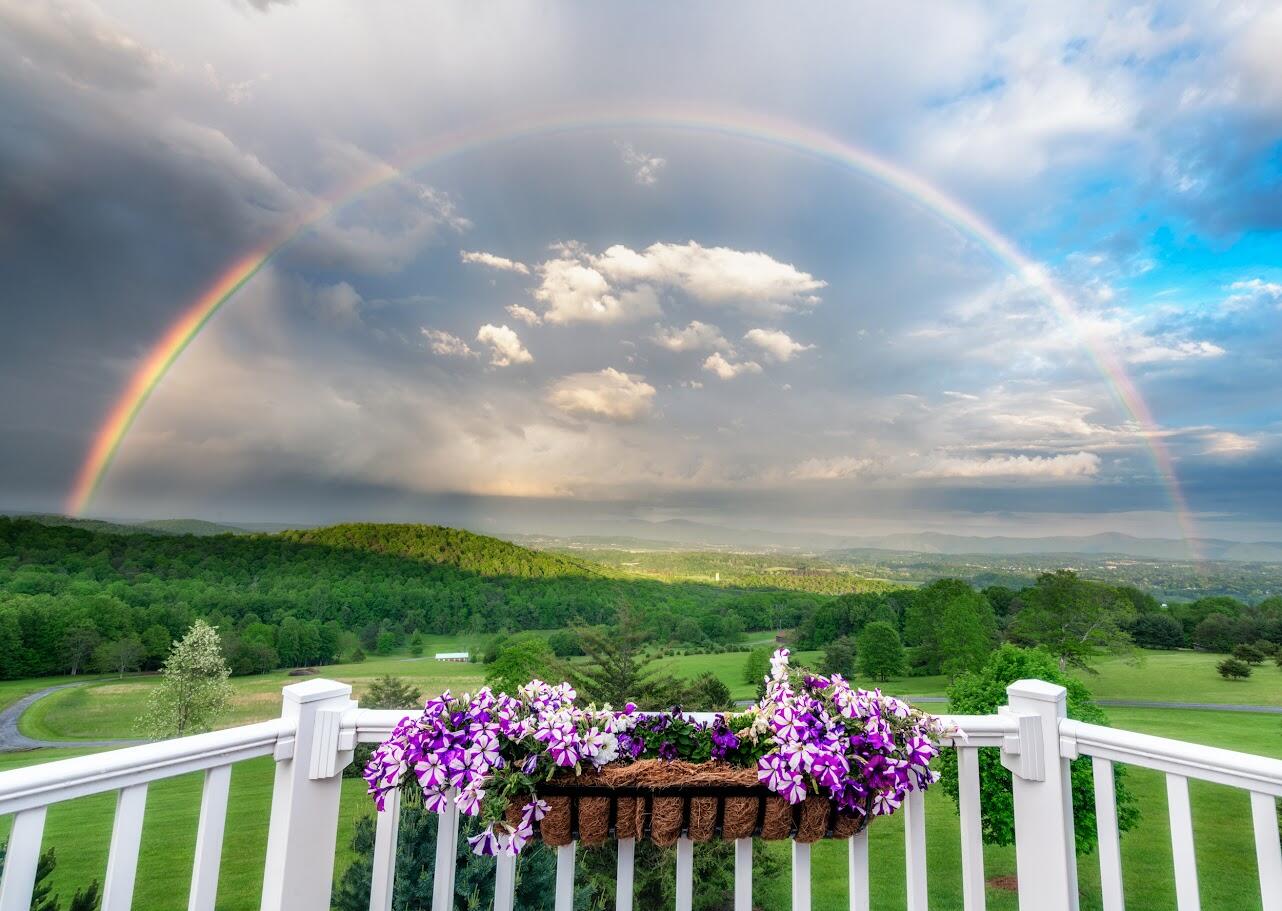 262 Shenandoah View Dr