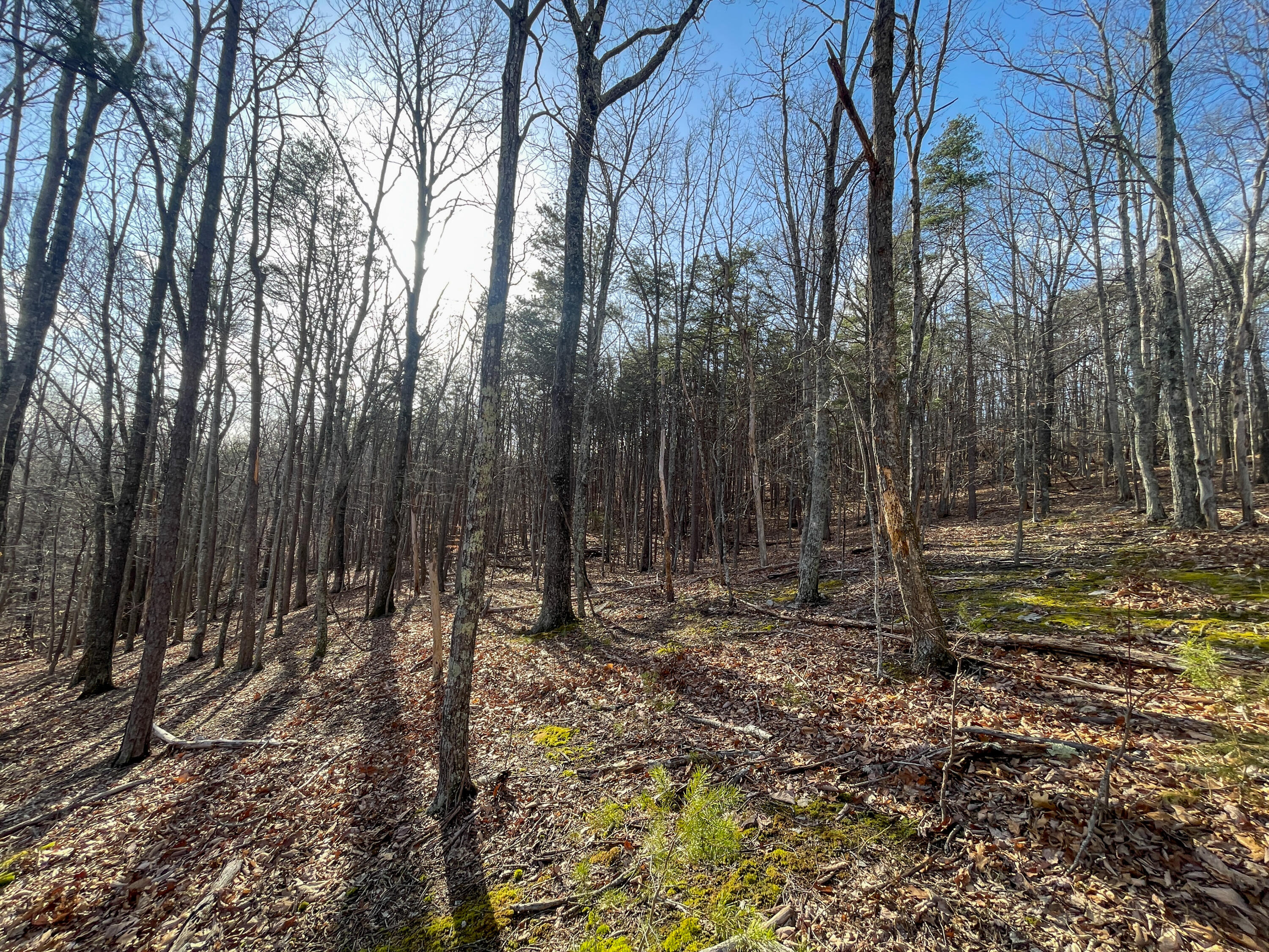 000 Short Hill Dr Unit: 13