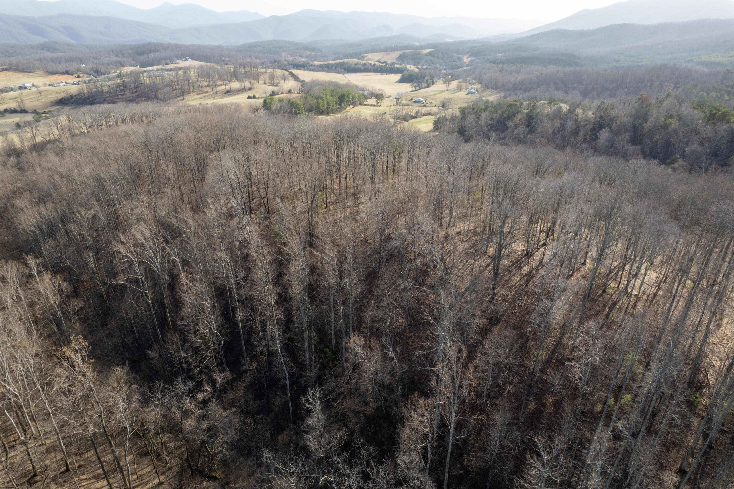 000 Short Hill Dr Unit: 13