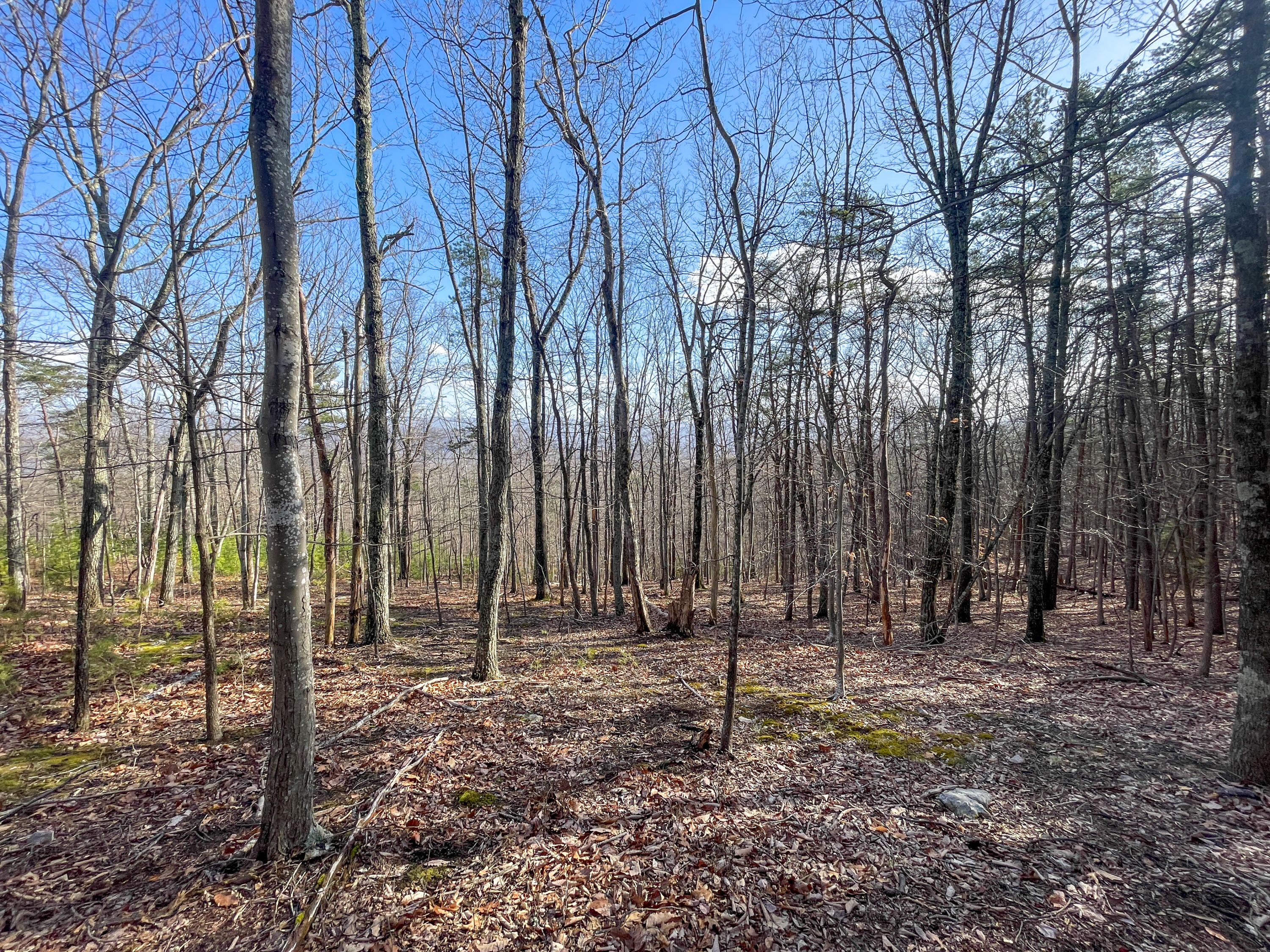 000 Short Hill Dr Unit: 13