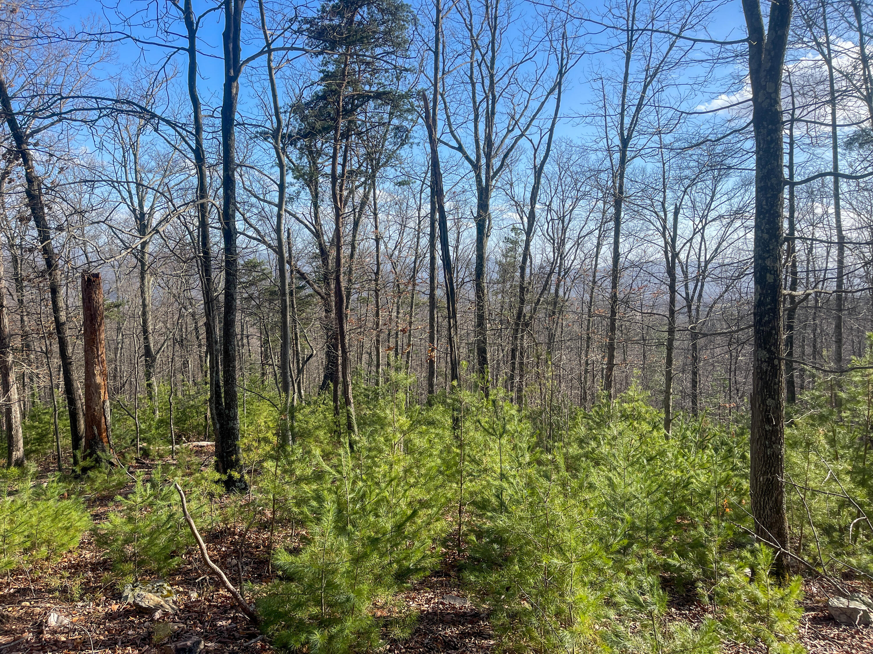 000 Short Hill Dr Unit: 13